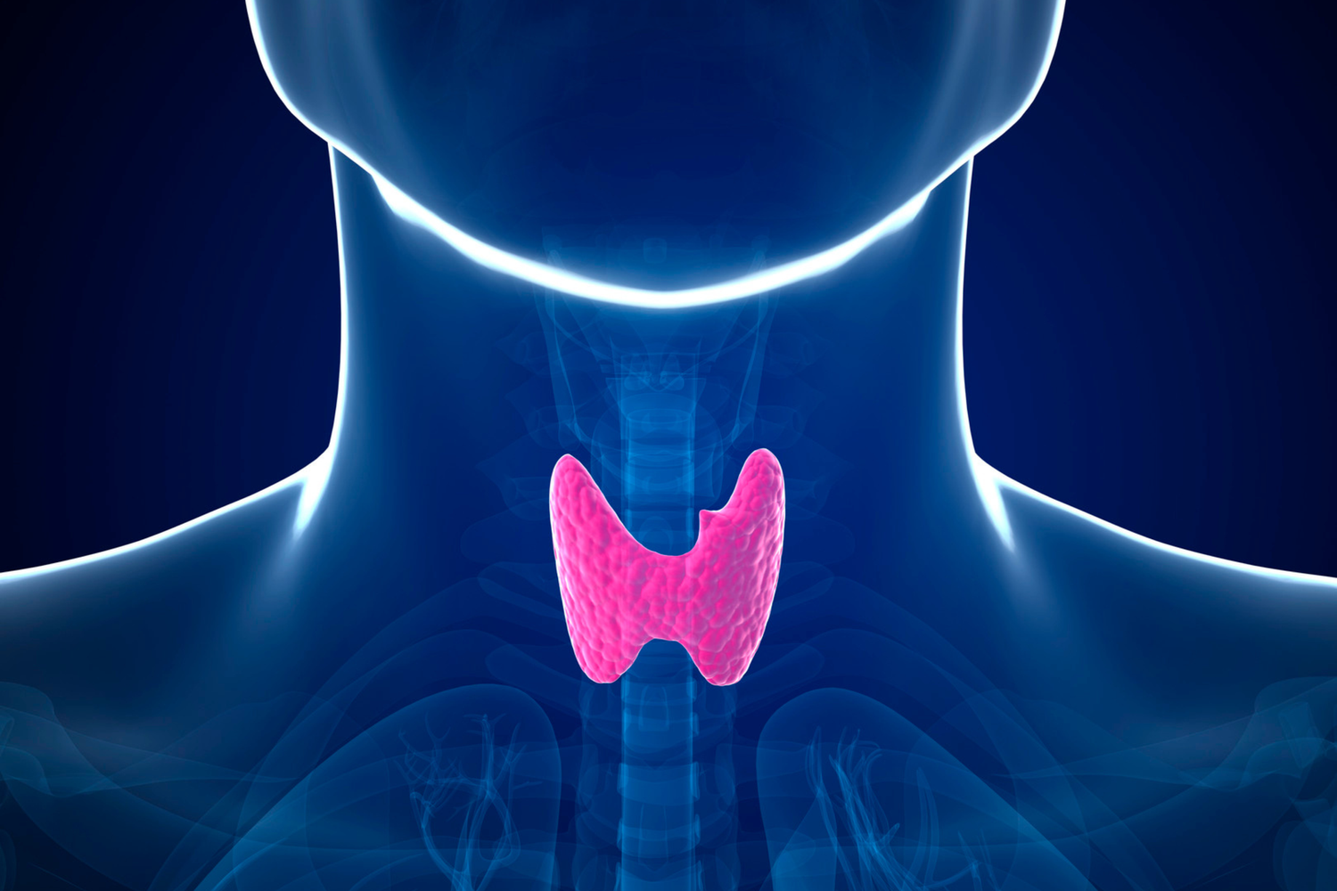 Thyroid and Mental Health: An Intertwined Relationship — Seattle  Psychiatrist — Seattle Anxiety Specialists - Psychiatry, Psychology, and  Psychotherapy