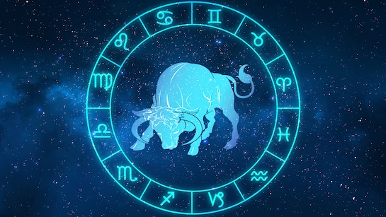 Taurus Horoscope 2025: इस तरह का बीतेगा वृषभ राशि का साल, जानिए कैसा रहेगी लव लाइफ, करियर और स्वास्थ्य | Taurus Yearly Horoscope 2025: Taurus love life, career, health, Taurus love horoscope